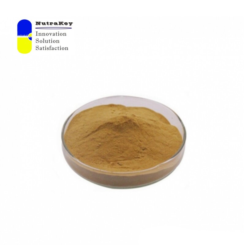 Fenugreek Seed Extract Powder Factory - 20% Saponins HPLC Tested