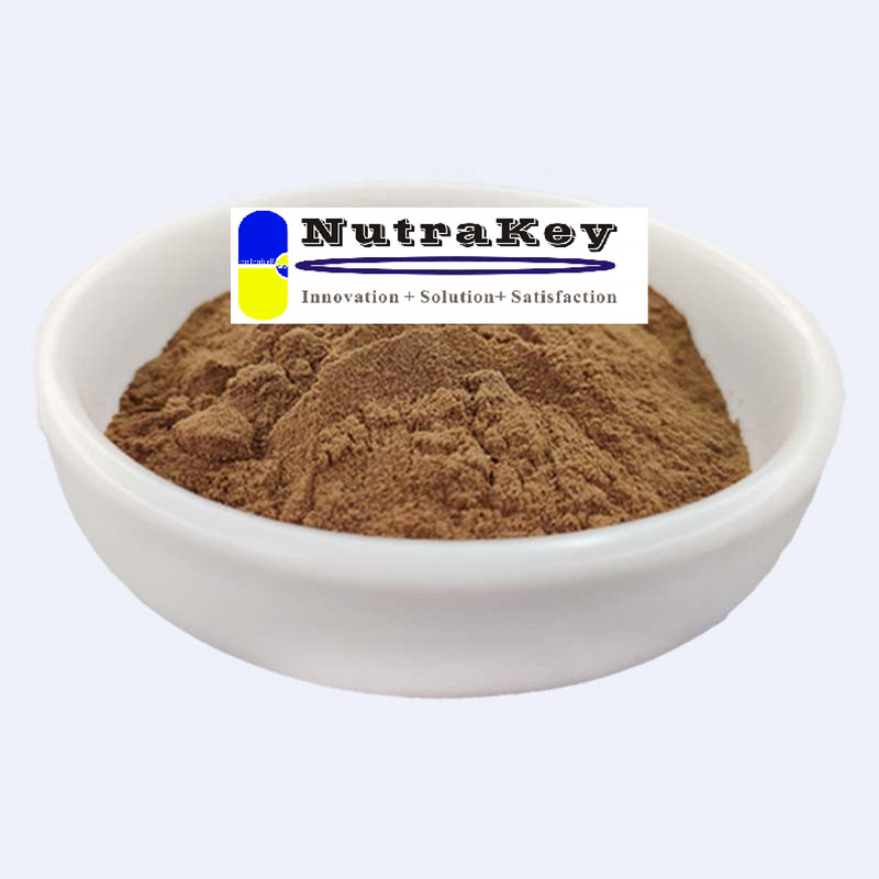Monk Fruit Extract Powder Manufacturer - Organic Mogroside V5% Free Sample