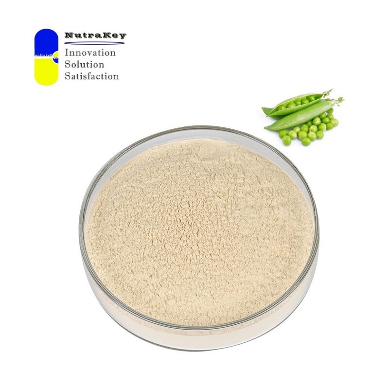 Pea Protein Isolate Powder Supplier - Non-GMO 80% Plant-Based Vegan