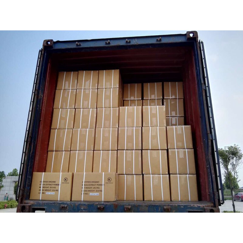 Ginkgo Seed Extract Powder Supplier - 4:1 Extract for Brain Health