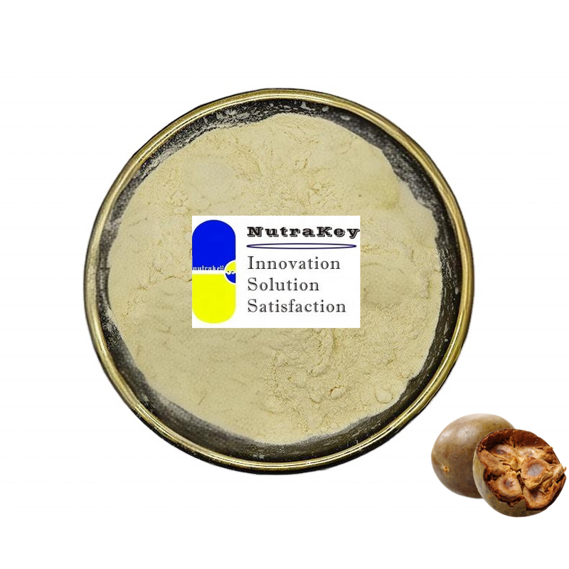 Monk Fruit Extract Powder Supplier - Mogroside V25% Low Bitter Taste