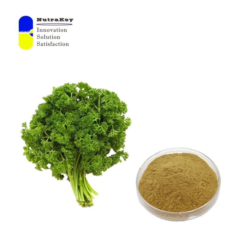 Parsley Extract Powder Manufacturer - 4:1 Petroselinum Crispum Extract