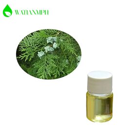 Hinoki Essential Oil Manufacturer - Bulk Wholesale 100% Pure Natural Cypress Oil Price