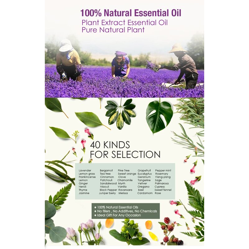 Essential Oil Supplier - Private Label 44 Flavors Pure Organic Aromatherapy