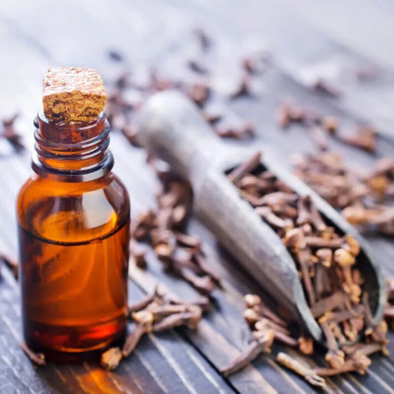 Clove Essential Oil Supplier - Wholesale 100% Pure Natural High Eugenol for Skin Care Sweet