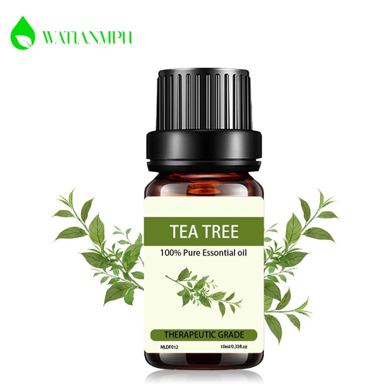 Tea Tree Essential Oil Manufacturer - Private Label OEM 10ml Pure for Beauty Facial Body