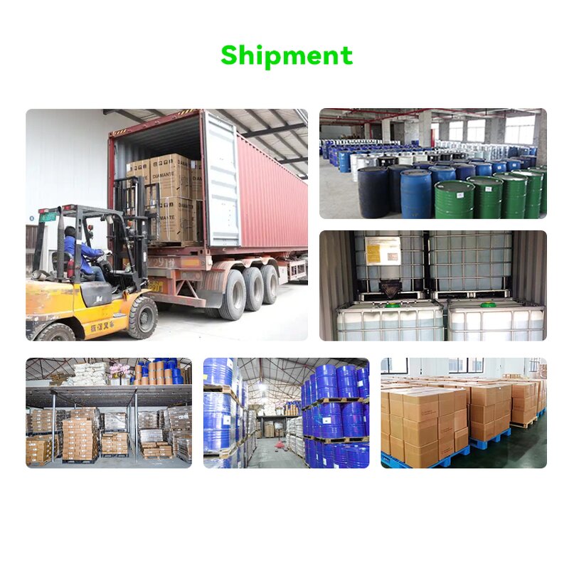 Ginger Essential Oil Factory - Organic Pure 10ml OEM Bottle Sweet Fresh Herbal Root for Massage