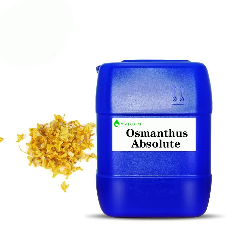Osmanthus Essential Oil Supplier - 100% Pure Undiluted Premium Grade for Aromatherapy