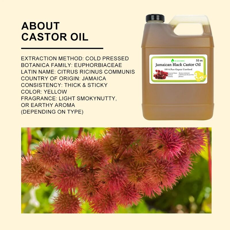Black Castor Oil Manufacturer - Wholesale Bulk Cold Pressed Jamaican for Hair Growth