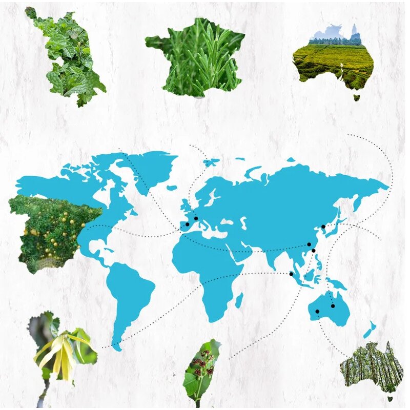 Black Pepper Oil Supplier - Bulk 100% Natural Pure Natural Source