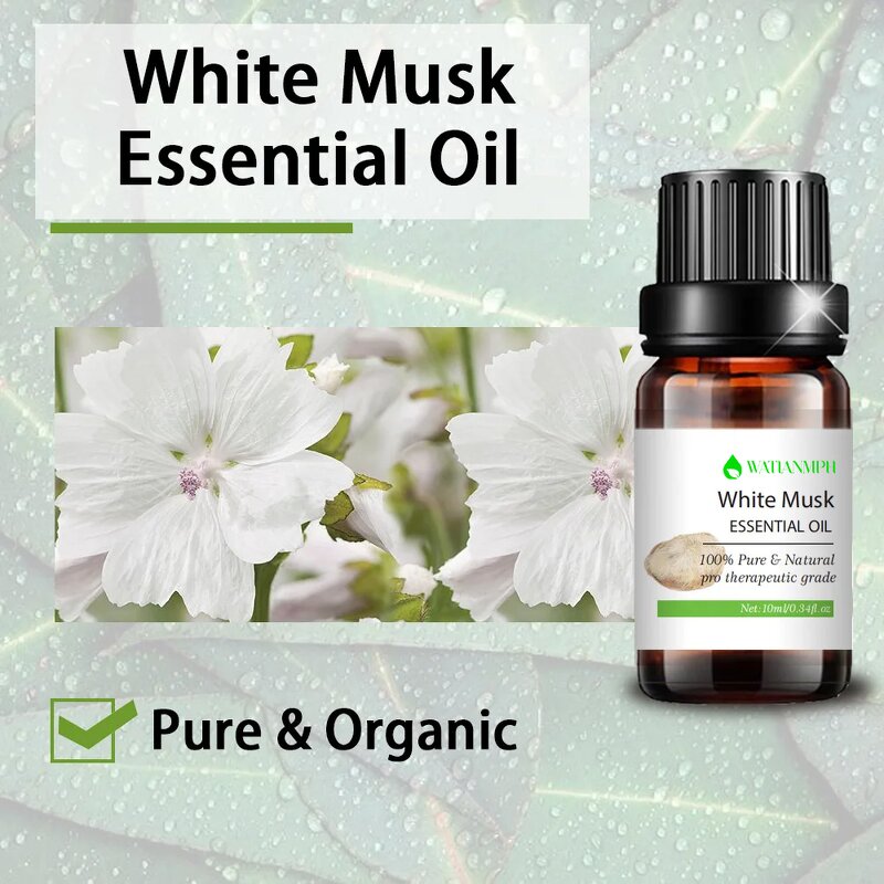 White Musk Essential Oil Factory - Plant Smell Body Oil OEM 10 ml Organic Natural