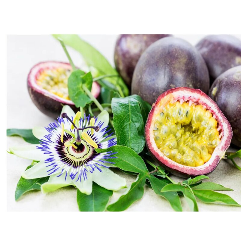 Passion Fruit Seed Oil Factory - Bulk Carrier Oils Cold Pressed Unrefined 100% Organic