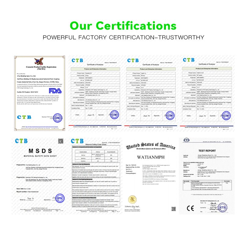 Angelica Essential Oil Supplier - Factory Supply Pure Natural Custom Private Label