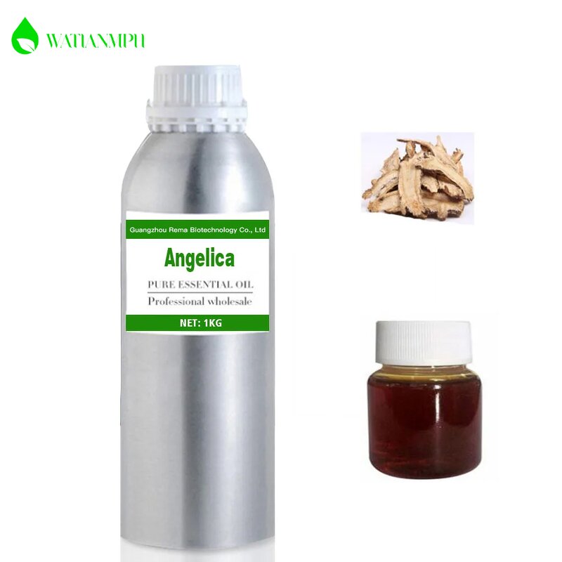 Angelica Essential Oil Supplier - Factory Supply Pure Natural Custom Private Label