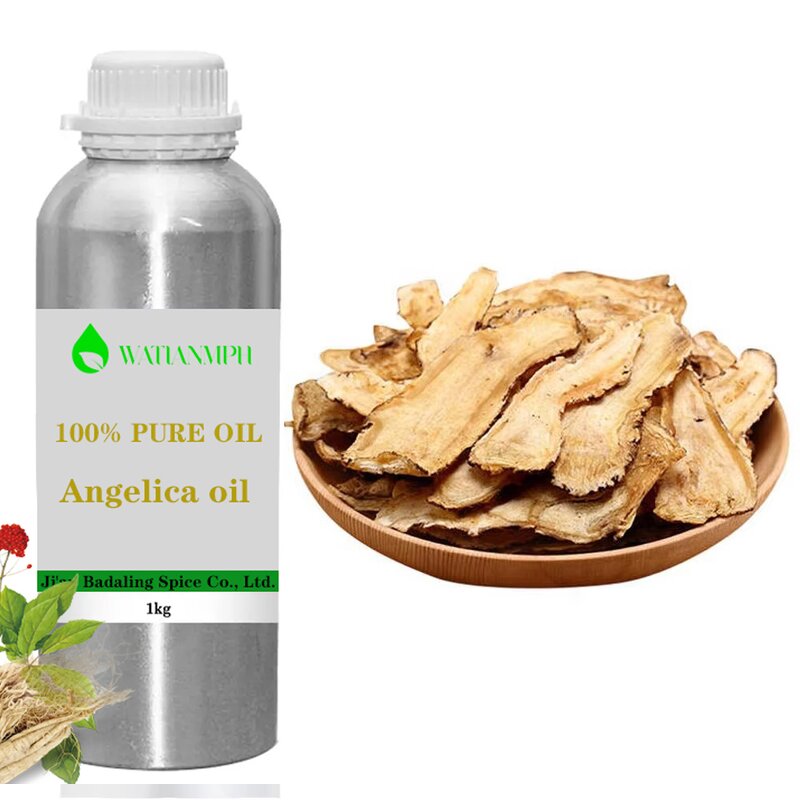 Wild Angelica Root Oil Supplier - Natural Herbal Oils Wholesale Chinese for Body Lotion