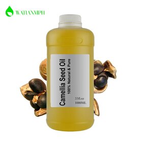 Camellia Seed Oil Manufacturer - Organic Cold Pressed Wild Bulk for Skin Care Baby Oil