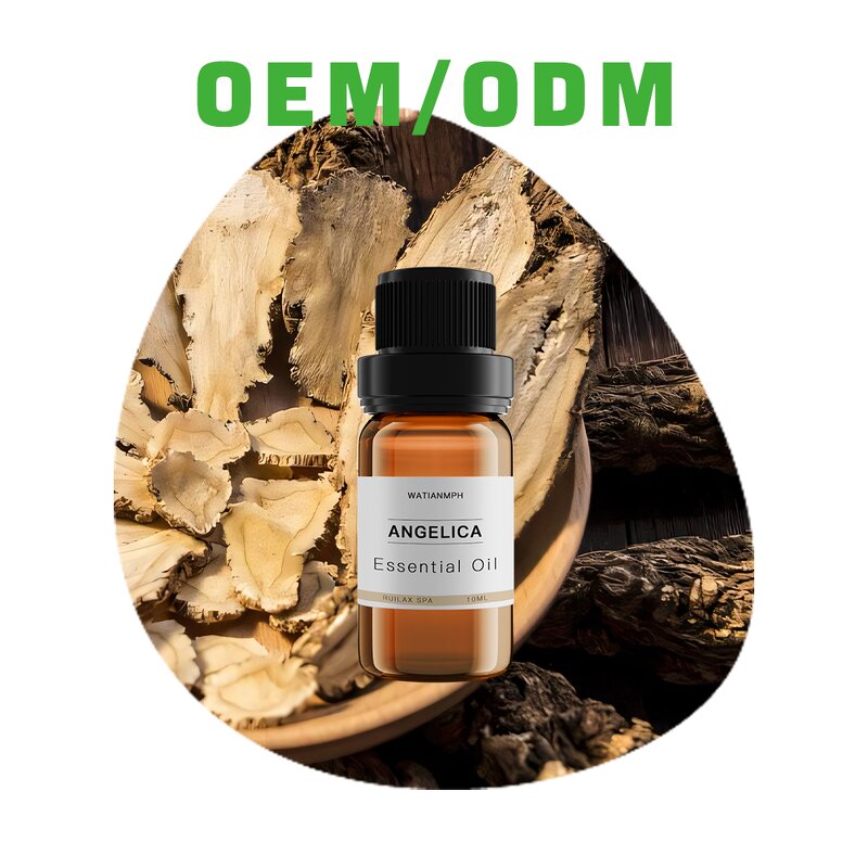 Angelica Oil Manufacturer - 100% Pure Natural Organic Essential Oil Bulk Price for Skin Care