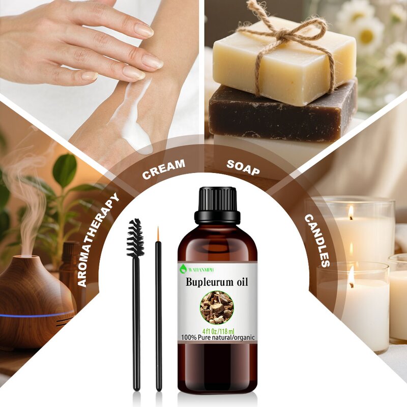 Bupleurum Root Oil Factory - Pure Cold Pressed Natural for Aromatherapy Massage Joint