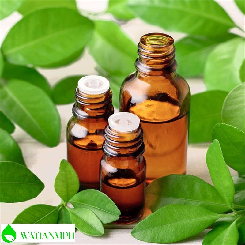 Bitter Orange Oil Manufacturer - Bulk Price High Quality Organic for Body Massage