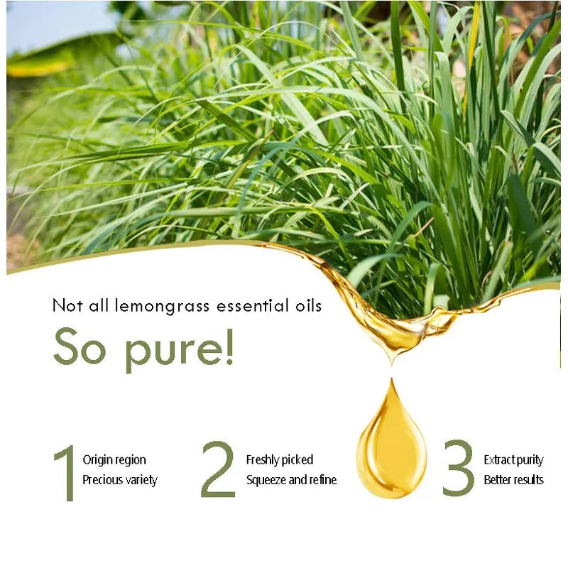 Oud Fragrance Oil Supplier - Pure Perfume Essential Oil for Candle Soap Making Wholesale