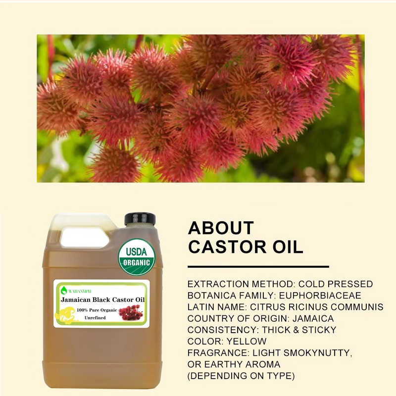 Black Castor Oil Factory - Private Label Pure Organic Cold-Pressed