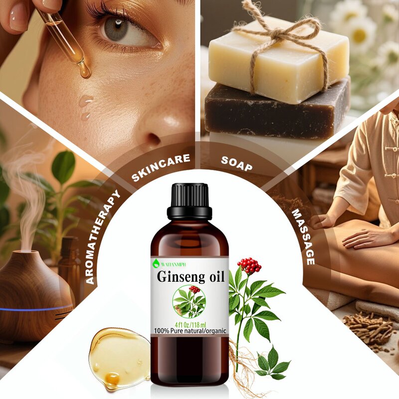 Ginseng Oil Manufacturer - Factory Supply High Quality Bulk Pure Natural for Massage