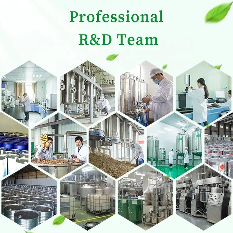 Turpentine Essential Oil Manufacturer - 1KG Organic for Painting Skin Care