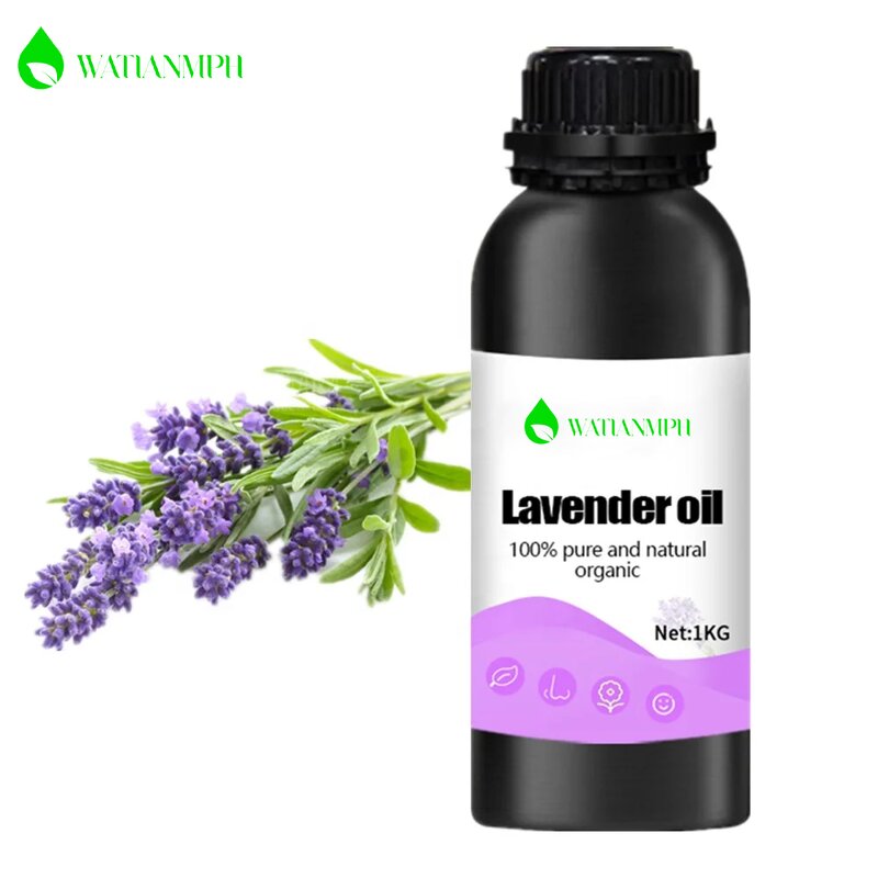 Lavender Essential Oil Factory - 100% Pure and Natural Fragrance Enhances Wonderful