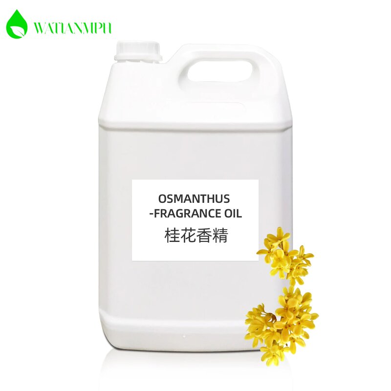 Agarwood Fragrance Oil Factory - Manufacturer Wholesale 100% Pure Premium Natural Aromatherapy