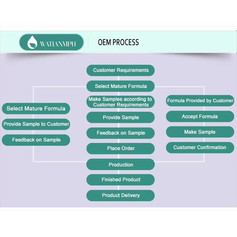 Schizonepeta Hair Oil Factory - 100% Natural Organic Private Label Anti-Itching Scalp Massage