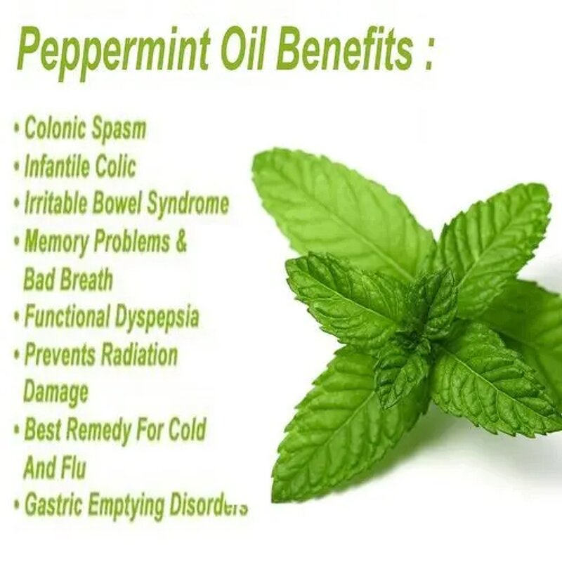 Peppermint Oil Manufacturer - Wholesale 100% Pure Natural Cosmetic Grade Bulk