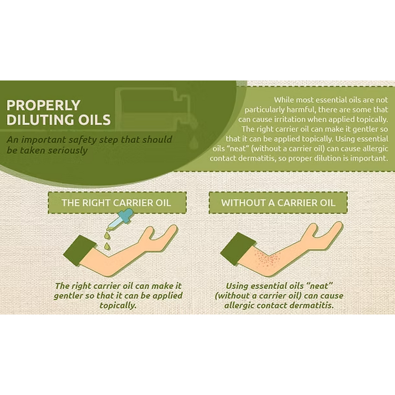 Carrier Oil Manufacturer - Bulk Hot Sale Rosehip Sweet Almond Jojoba Avocado New Carrier