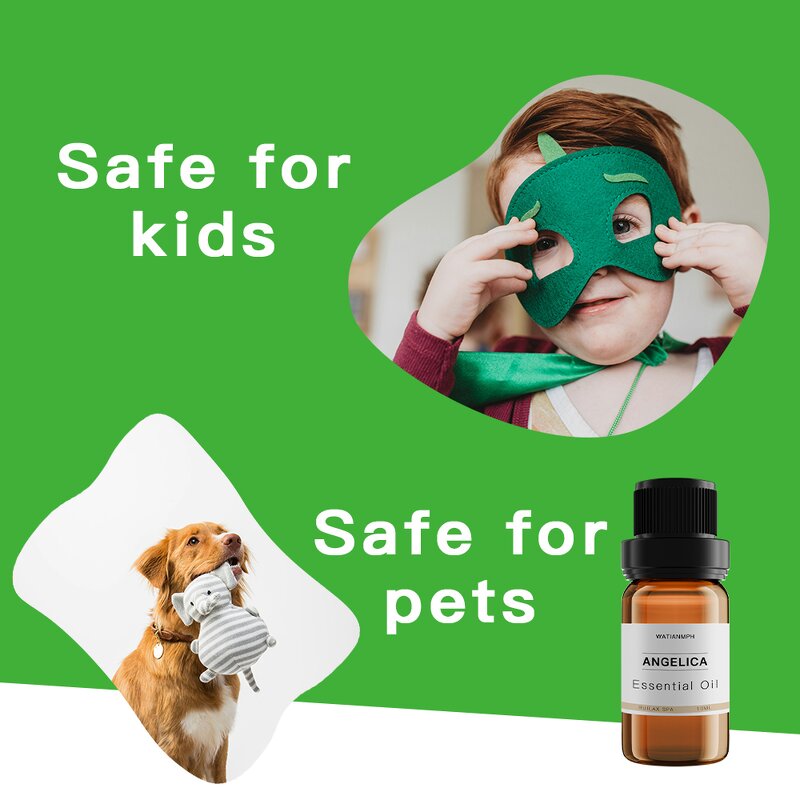 Angelica Oil Manufacturer - 100% Pure Natural Organic Essential Oil Bulk Price for Skin Care