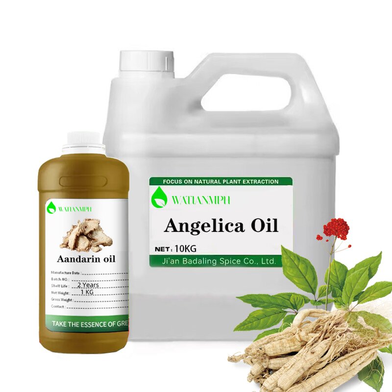 Wild Angelica Root Oil Supplier - Natural Herbal Oils Wholesale Chinese for Body Lotion