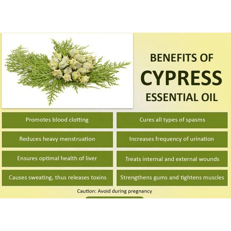 Hinoki Essential Oil Manufacturer - Bulk Wholesale 100% Pure Natural Cypress Oil Price