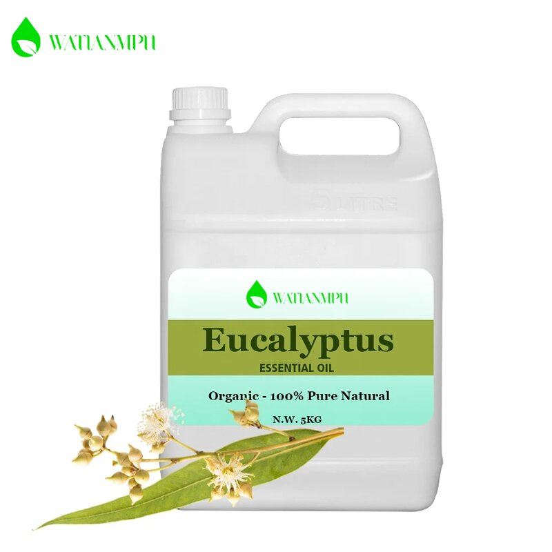 Car Air Essential Oil Factory - Wholesale 100% Pure Natural Hotel Scent Eucalyptus Globulus