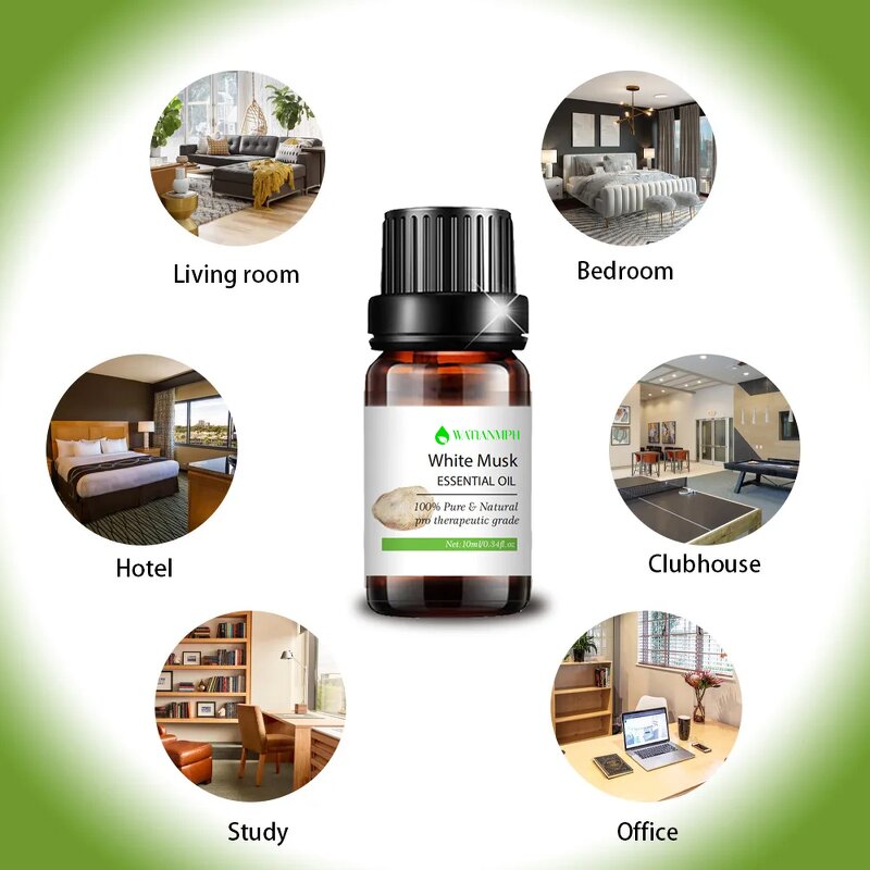 White Musk Essential Oil Factory - Plant Smell Body Oil OEM 10 ml Organic Natural