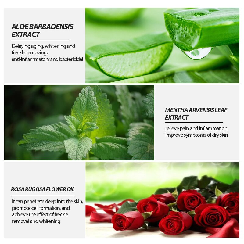 Body Wash Supplier - Natural Fruit Extract Oil Cream Shower Gel