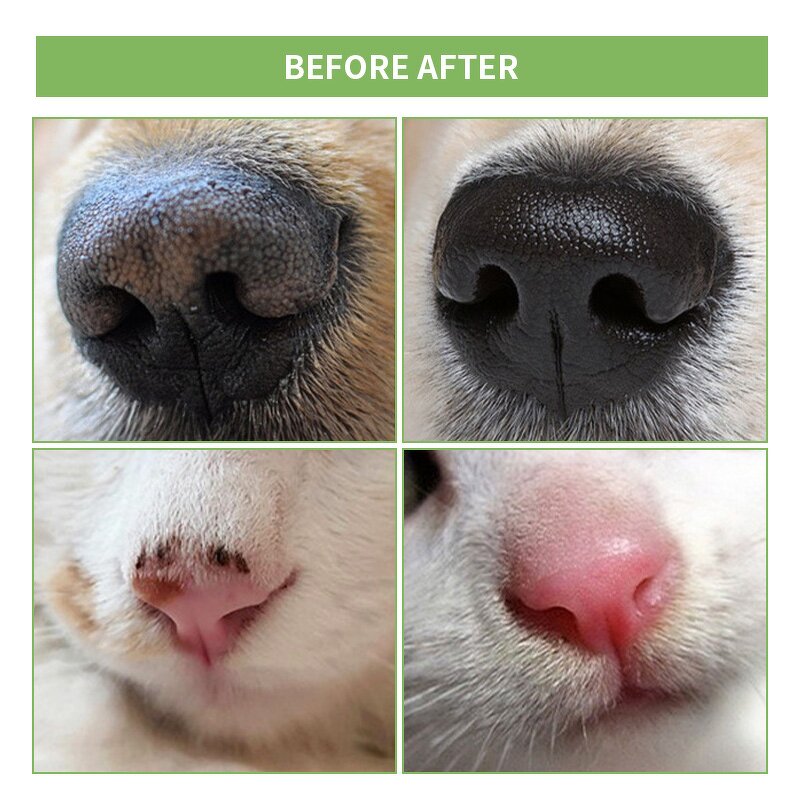 Pet Balm Manufacturer - Dog Nose Balm Stick Plant-Based Lick-Safe
