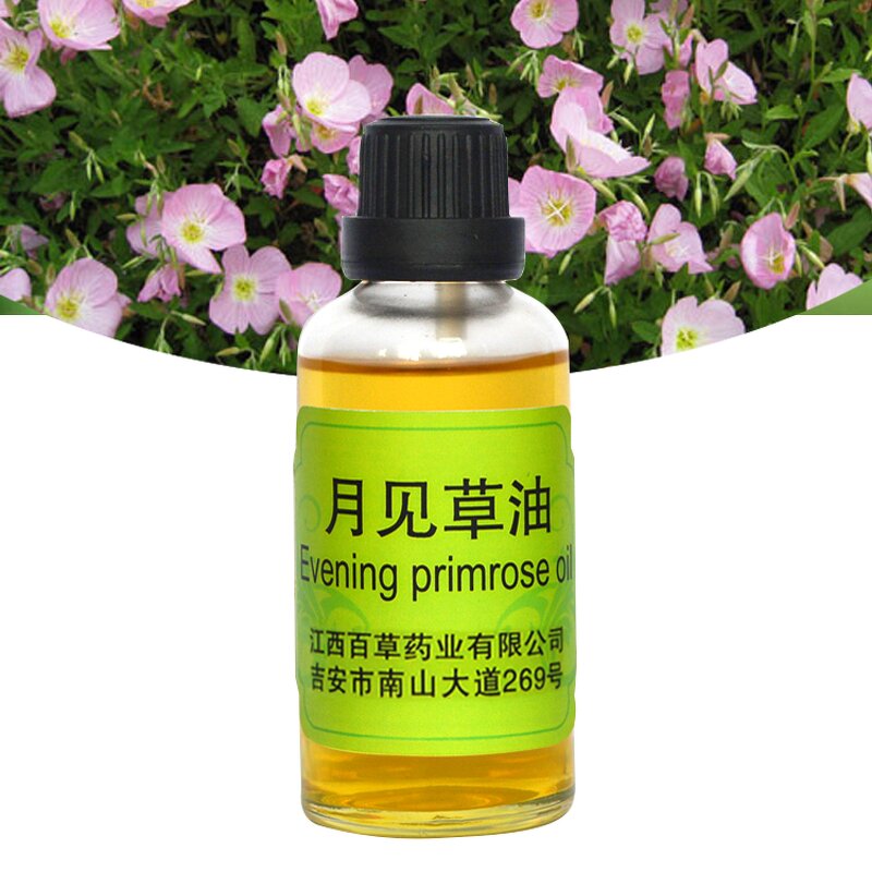 Evening Primrose Essential Oil Factory - Therapeutic Grade Lightweight for Skin and Hair Care