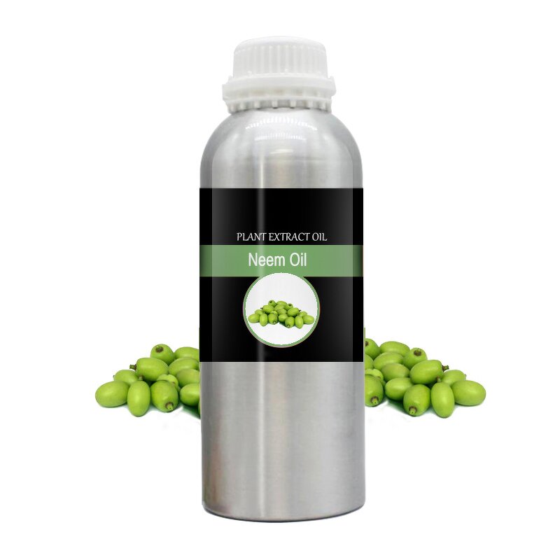 Jojoba Seed Oil Manufacturer - Global Cold-Pressed Pure for Hair Scalp Body Massage Raw Yellow Export