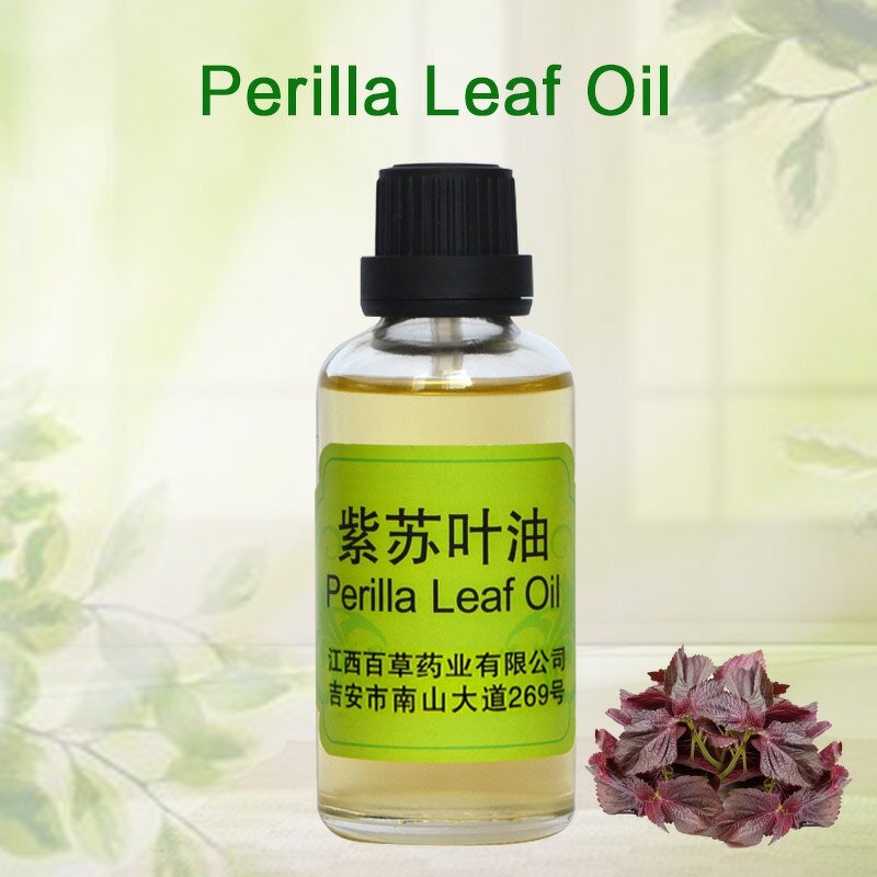 Perilla Leaf Essential Oil Manufacturer - Premium Therapeutic Grade 100% Pure Natural Steam-Distilled