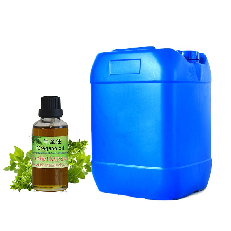 Wild Oregano Essential Oil Manufacturer - Bulk Baicao Pure Carvacrol & Thymol OEM Feed Additive