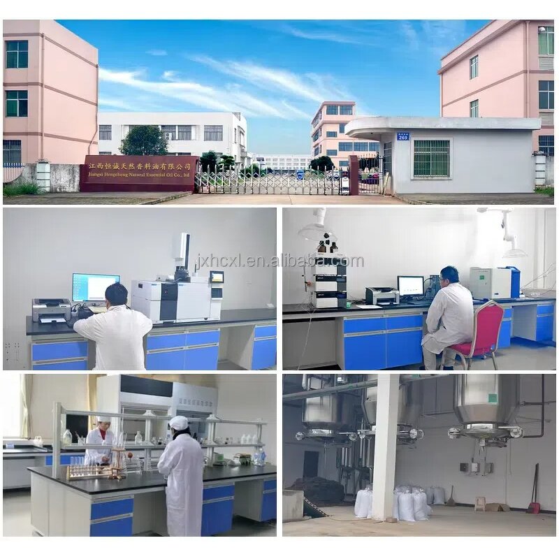 Hemp Seeds Essential Oil Supplier - Organic Carrier Oil Cosmetic Therapeutic Grade ISO Certified OEM