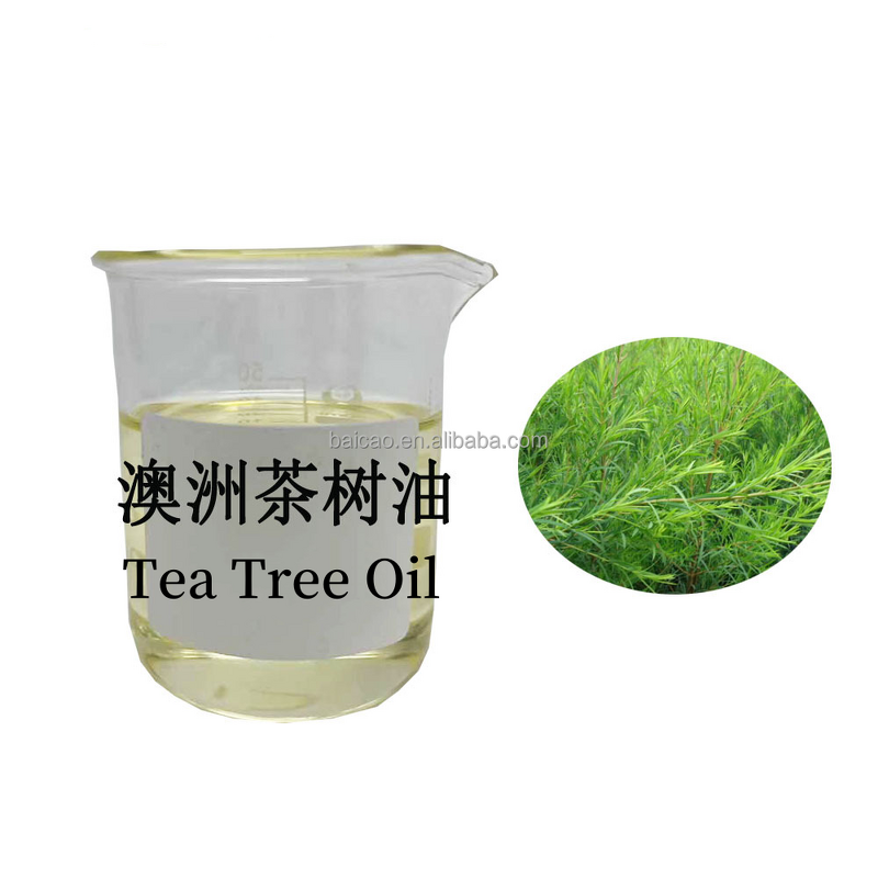 Tea Tree Essential Oil Supplier - Wholesale Private Label Anti-inflammatory for All Skin Scalp