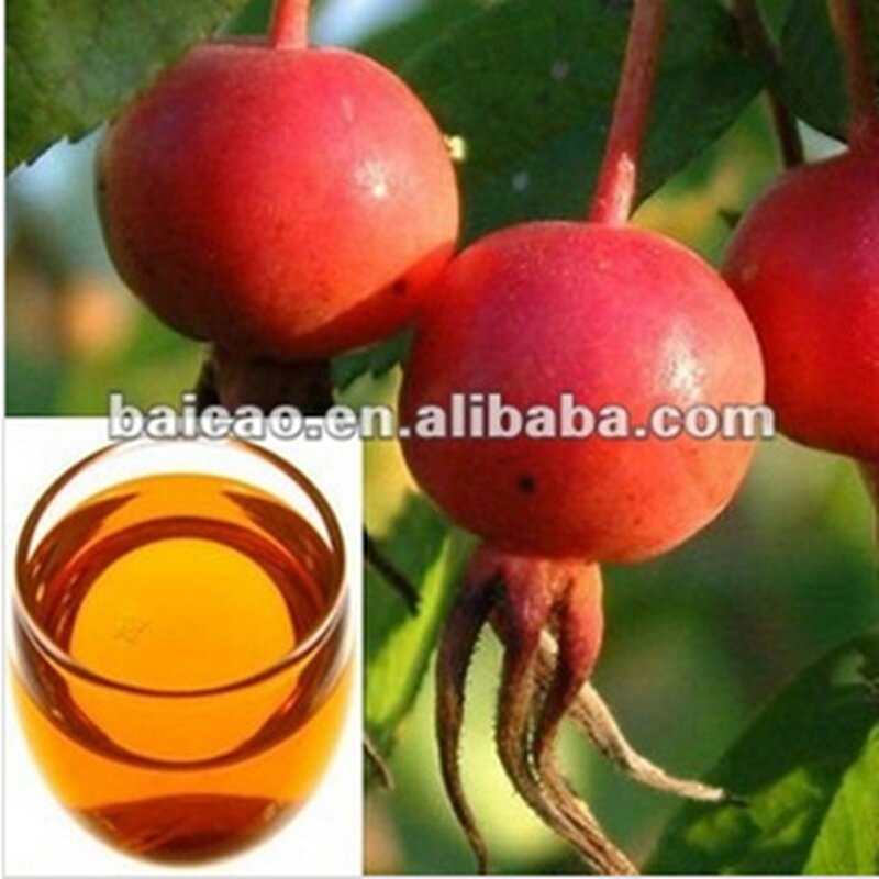 Rosehip Oil Factory - Essential Oil Manufacture Support 100% Pure Natural for Skin Care High Demand