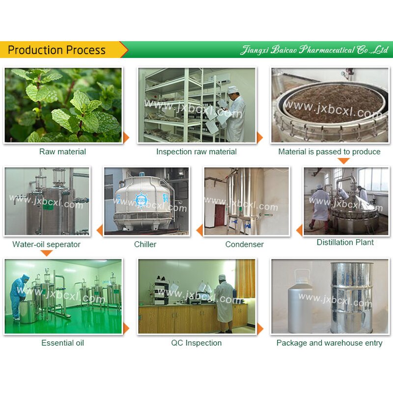 Peppermint Essential Oil Manufacturer - 100% Nature for Cosmetic Skin and Hair Care