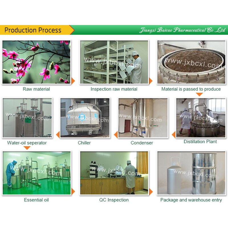 Flos Magnolia Extract Supplier - 100% Pure Natural Plant Extraction High Quality Pure Essential Oil