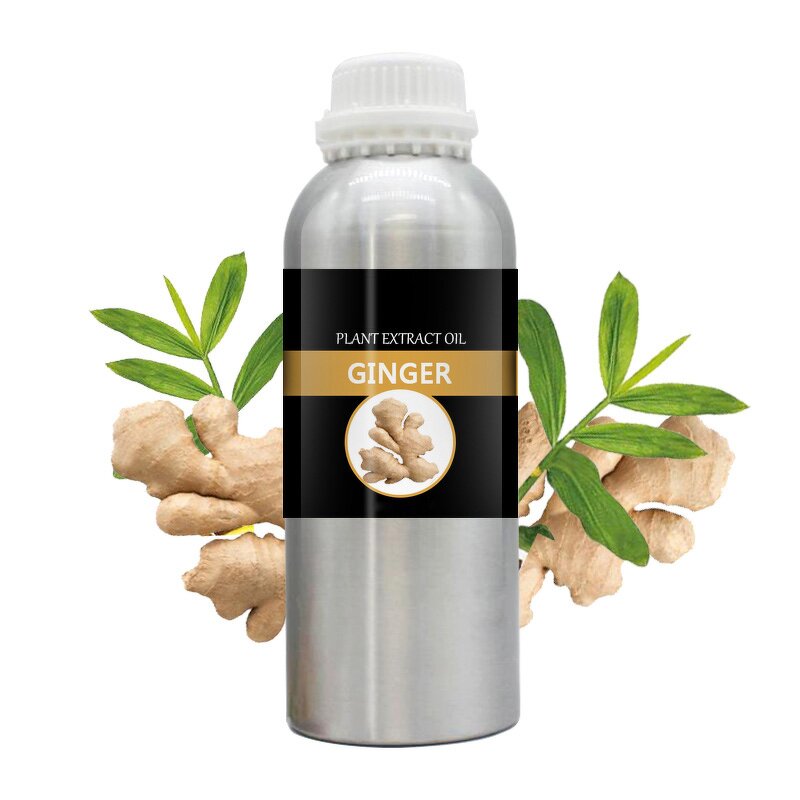 Ginger Essential Oil Supplier - 100% Pure Organic Natural Steam Distilled Bulk Wholesale Price