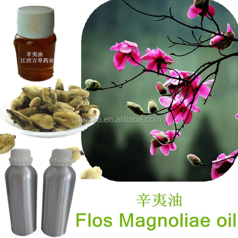 Magnolia Essential Oil Factory - Therapeutic Grade 100% Pure Natural Lightening Tea Tree Flower